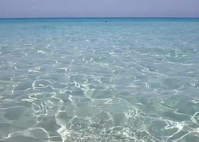 Lungomare 10 Posti Fronte Mare Daire